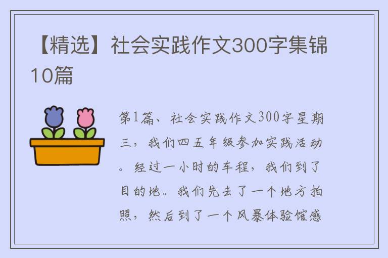 【精选】社会实践作文300字集锦10篇